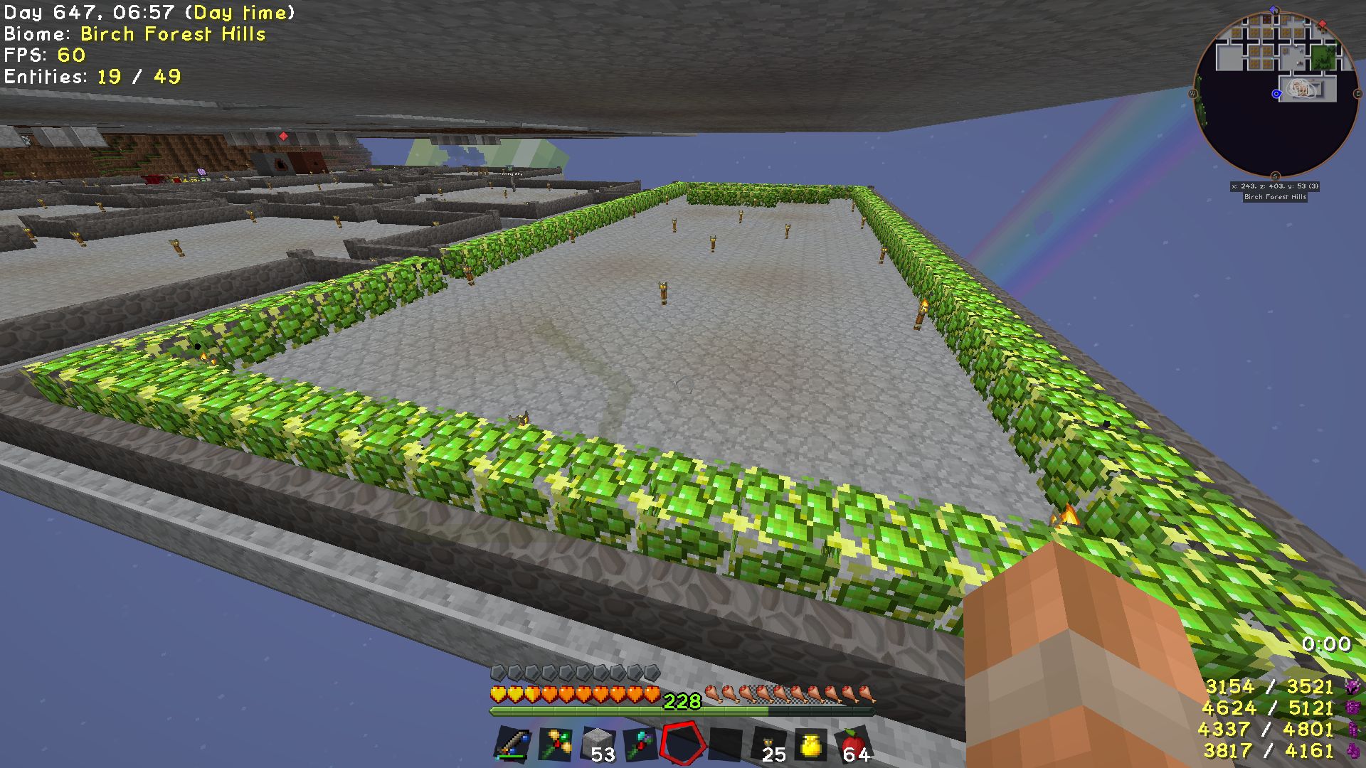 XP berry bushes
